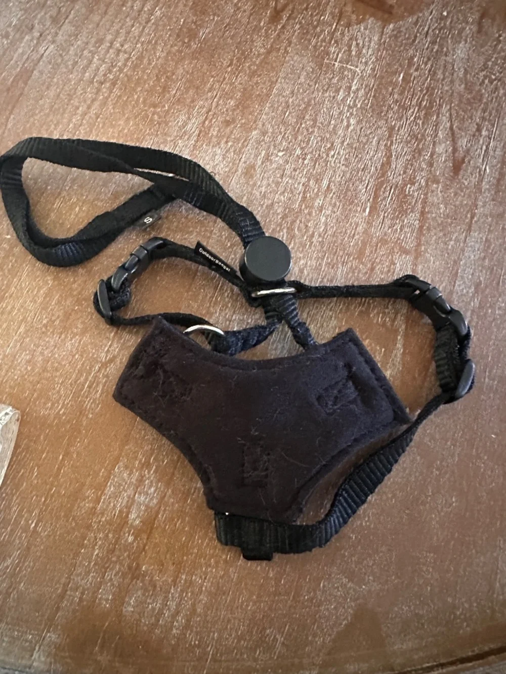 OUTDOOR Bengal Houdini Escape Proof Cat Harness - Black - Small